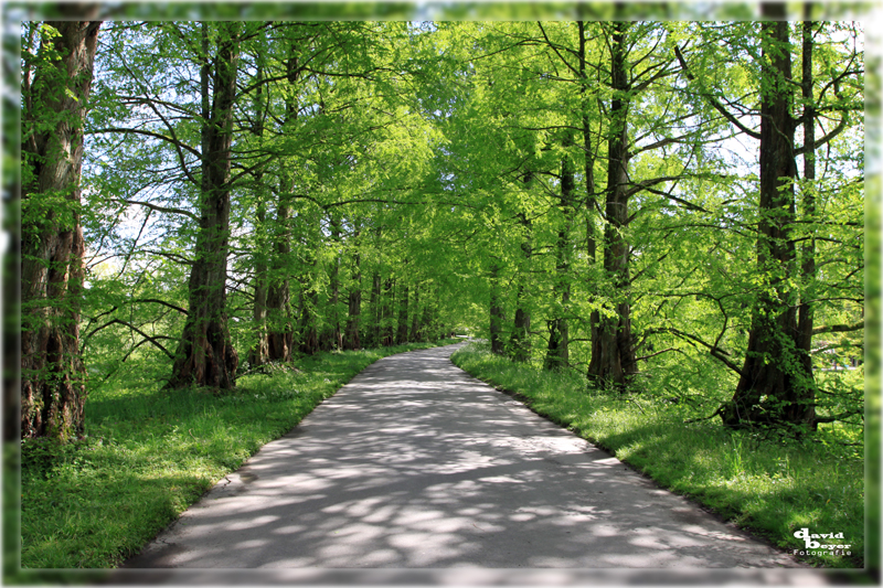 Der Weg ist das Ziel