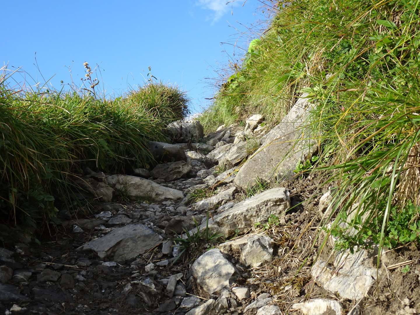 Der Weg ist das Ziel