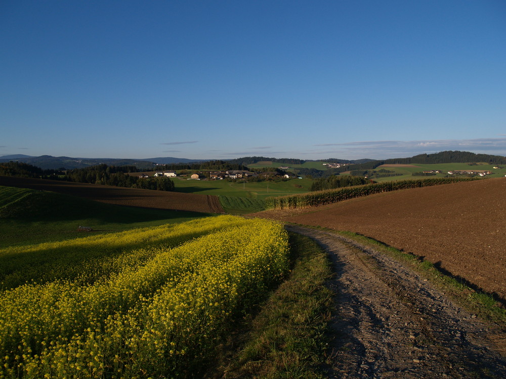 Der Weg ist das Ziel