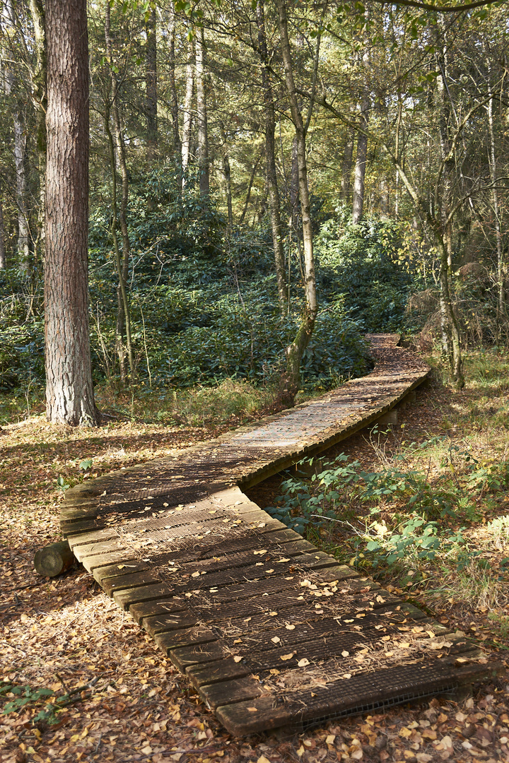 Der Weg ist das Ziel