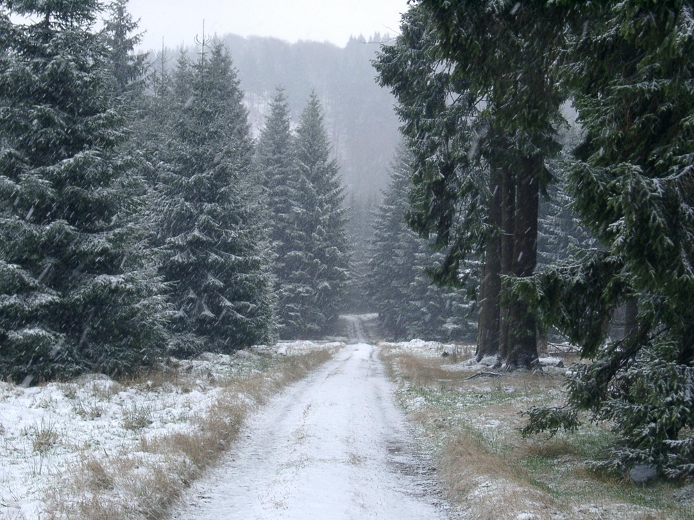 Der Weg ist das Ziel