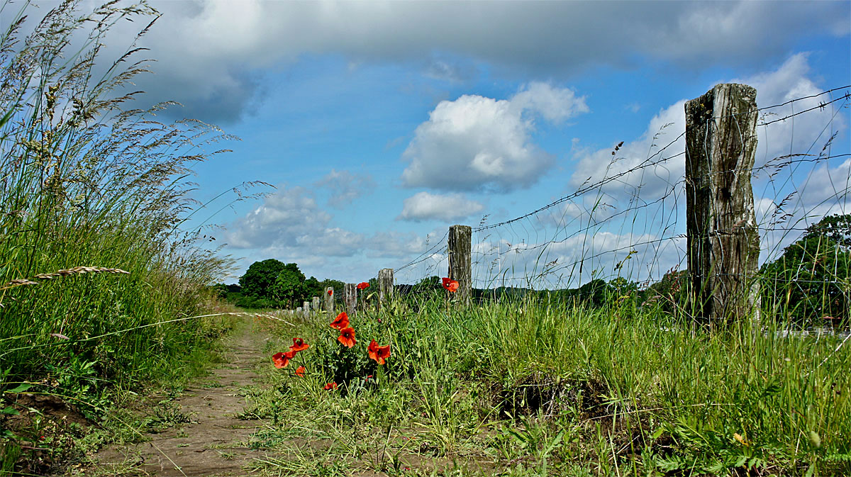 Der Weg ist das Ziel