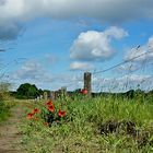 Der Weg ist das Ziel