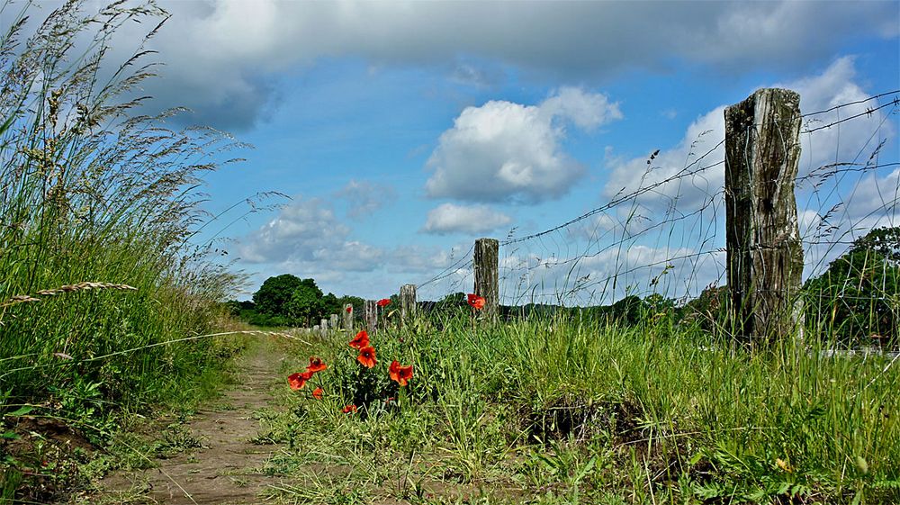 Der Weg ist das Ziel