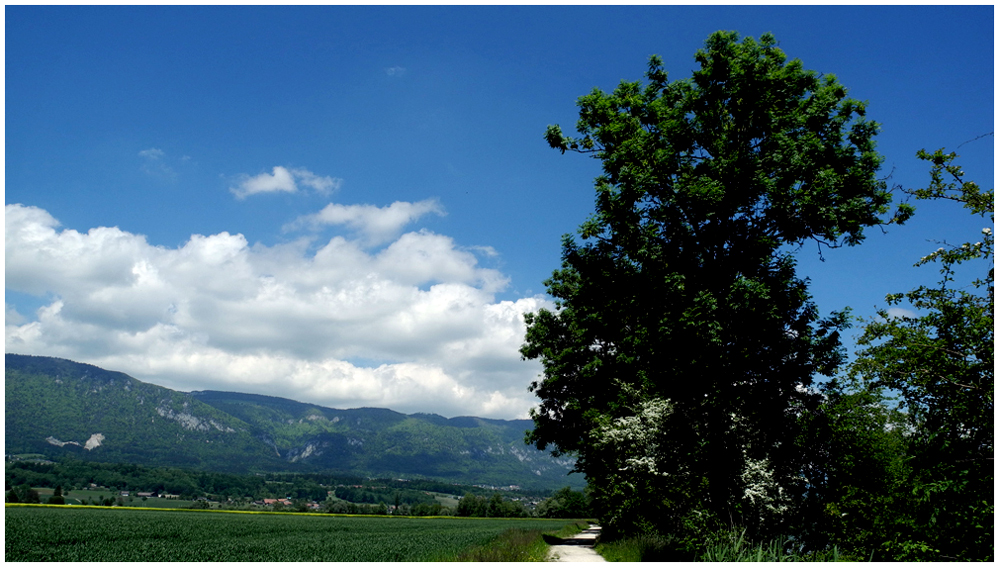 der Weg ist das Ziel