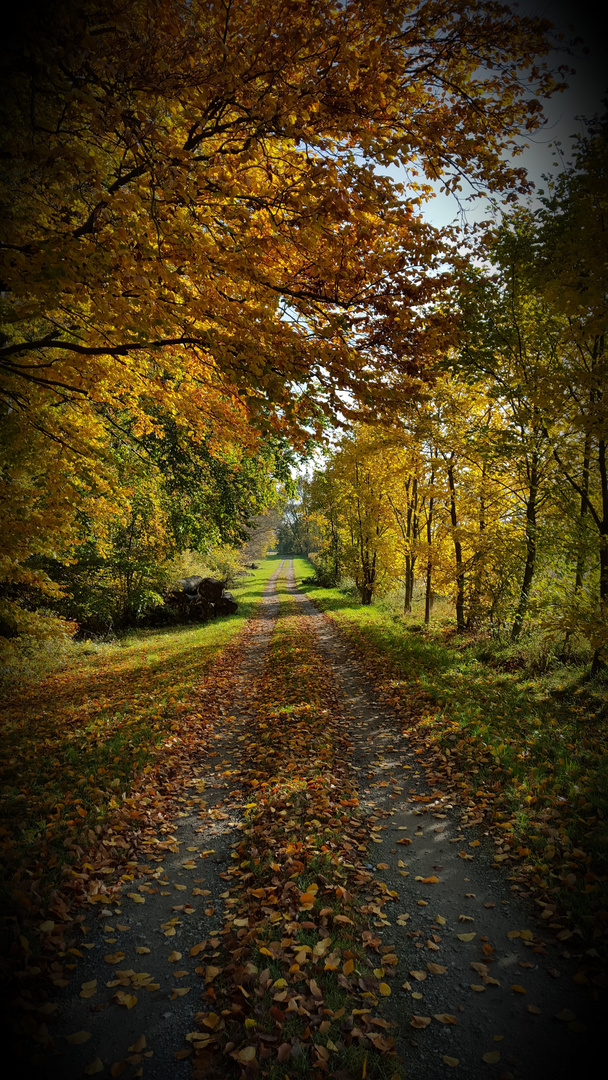 Der Weg ist das Ziel