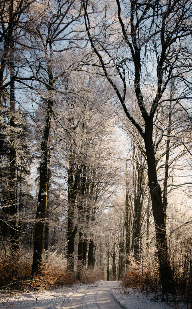  -Der Weg ist das Ziel-