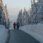 der Weg ist das Ziel