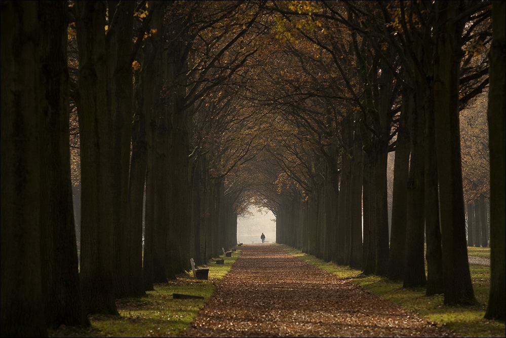 der Weg ist das Ziel