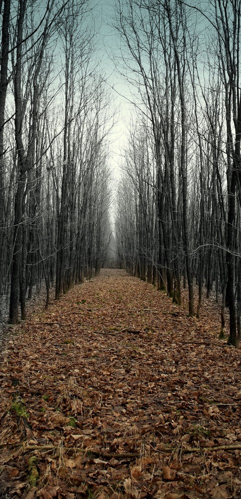 Der Weg ist das Ziel!