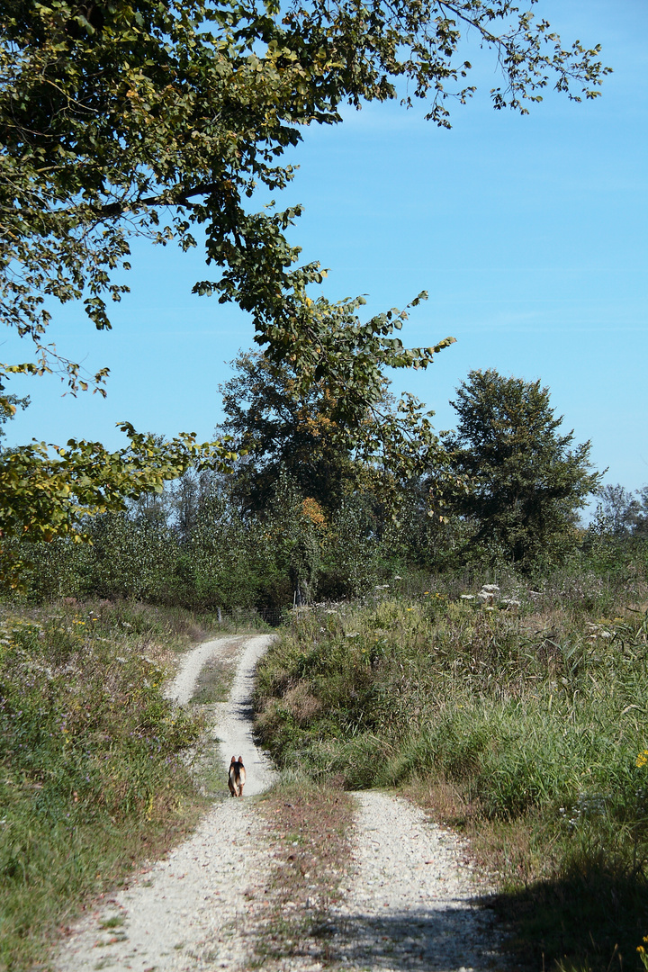 Der Weg ist das Ziel...