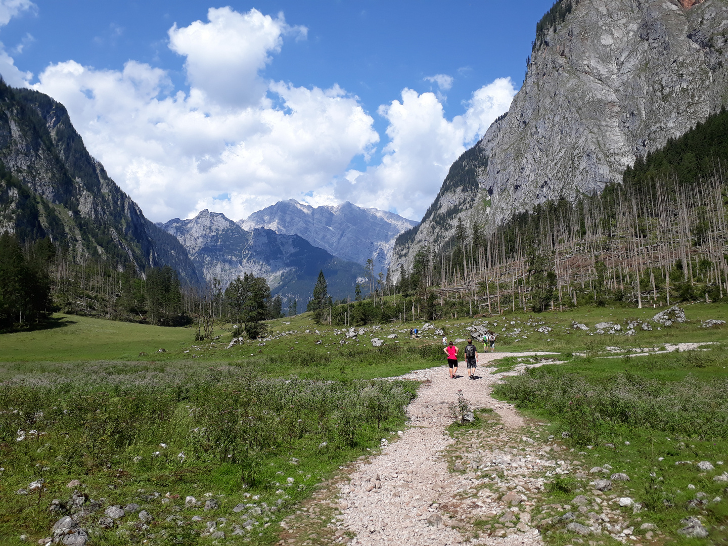 Der Weg ist das Ziel