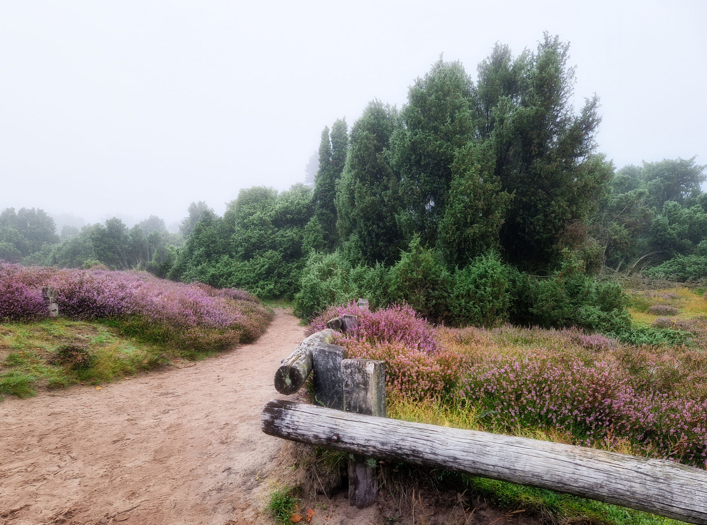 Der Weg ist das Ziel