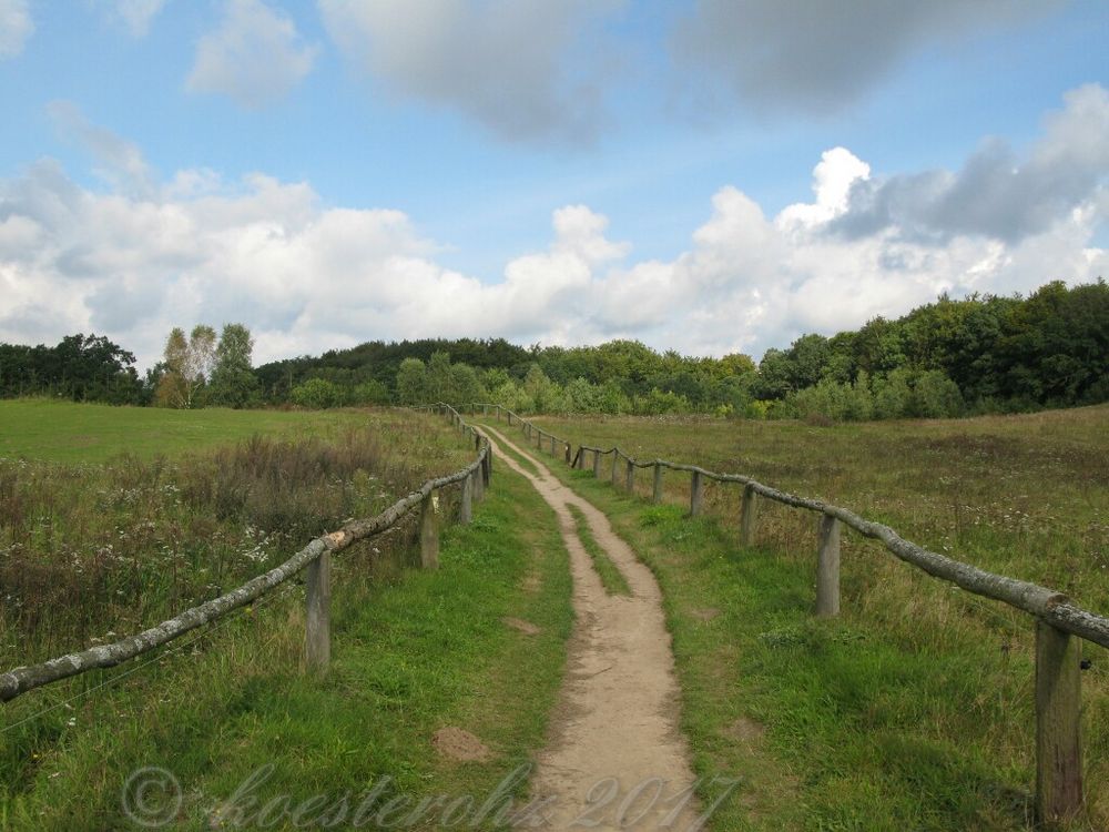 Der Weg ist das Ziel 