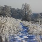 Der Weg ist das Ziel