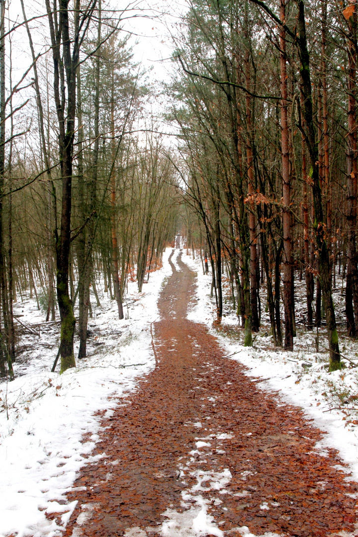 Der Weg ist das Ziel