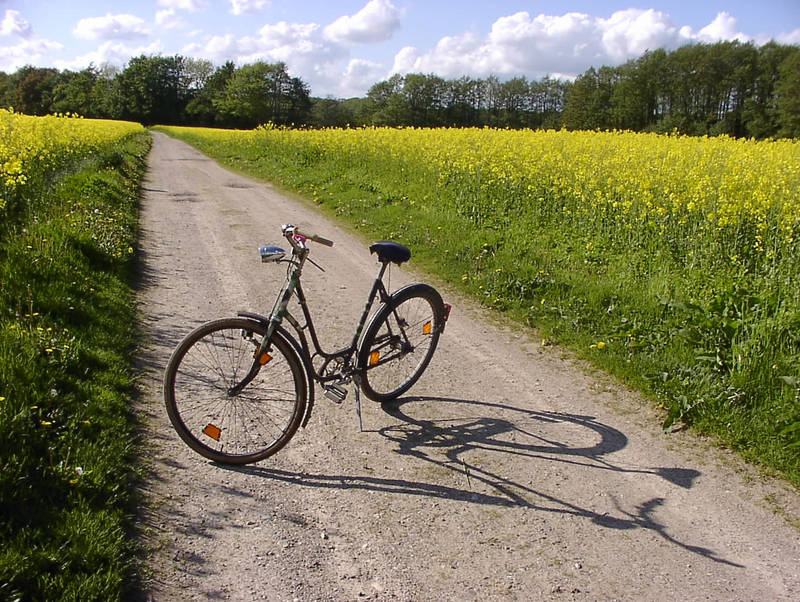 Der Weg ist das Ziel...