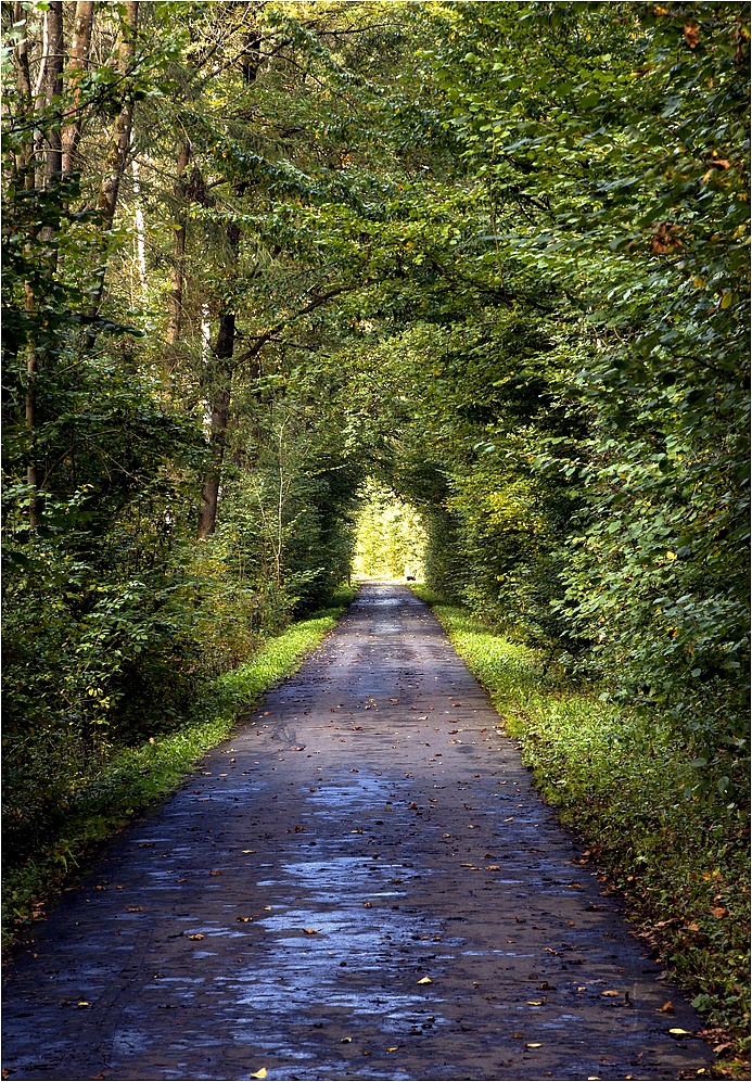 Der Weg ist das Ziel ....