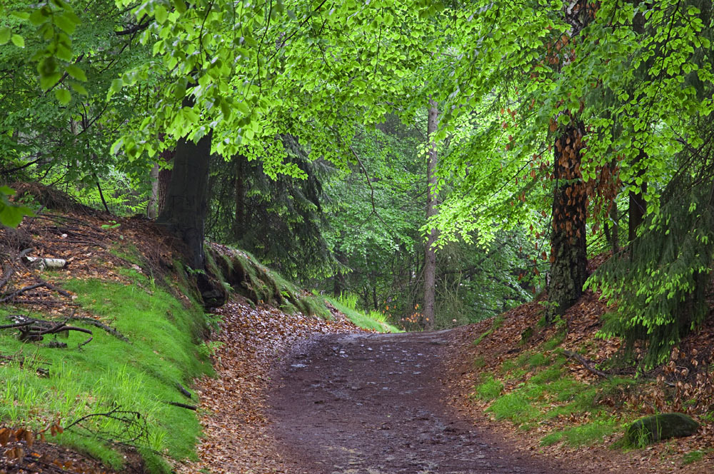 Der Weg ist das Ziel