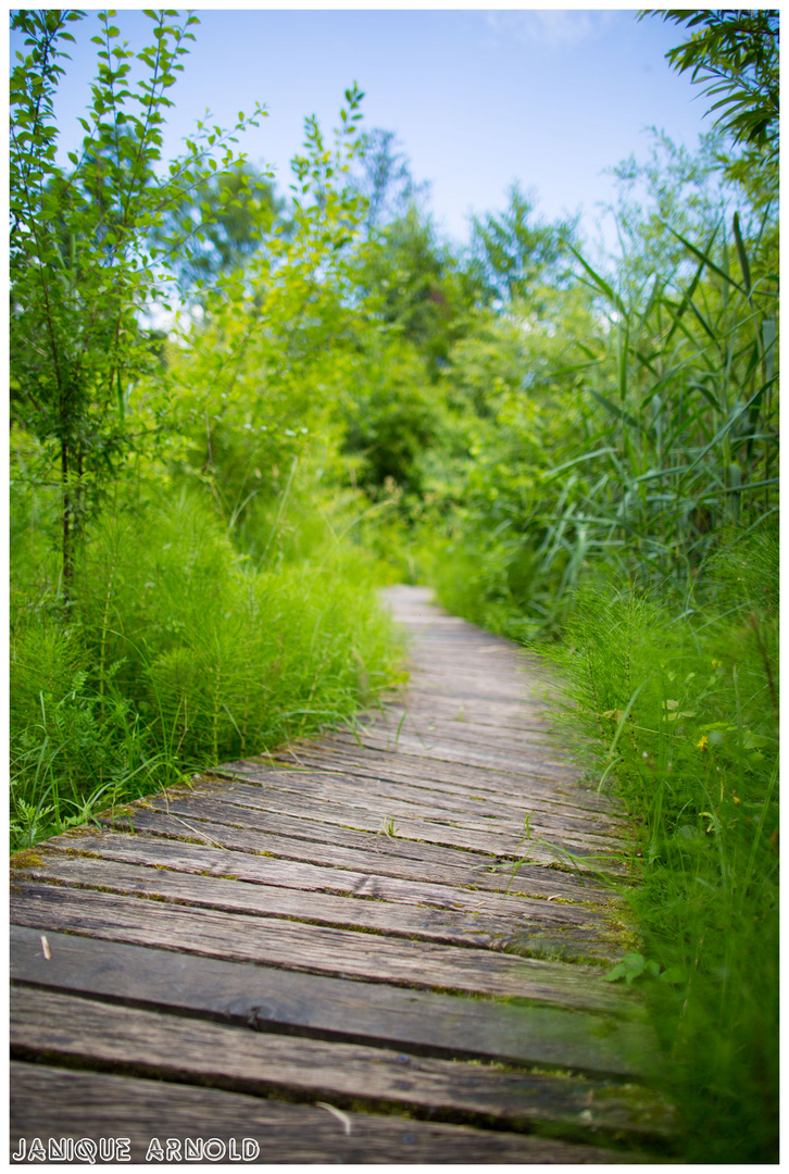 Der Weg ist das Ziel