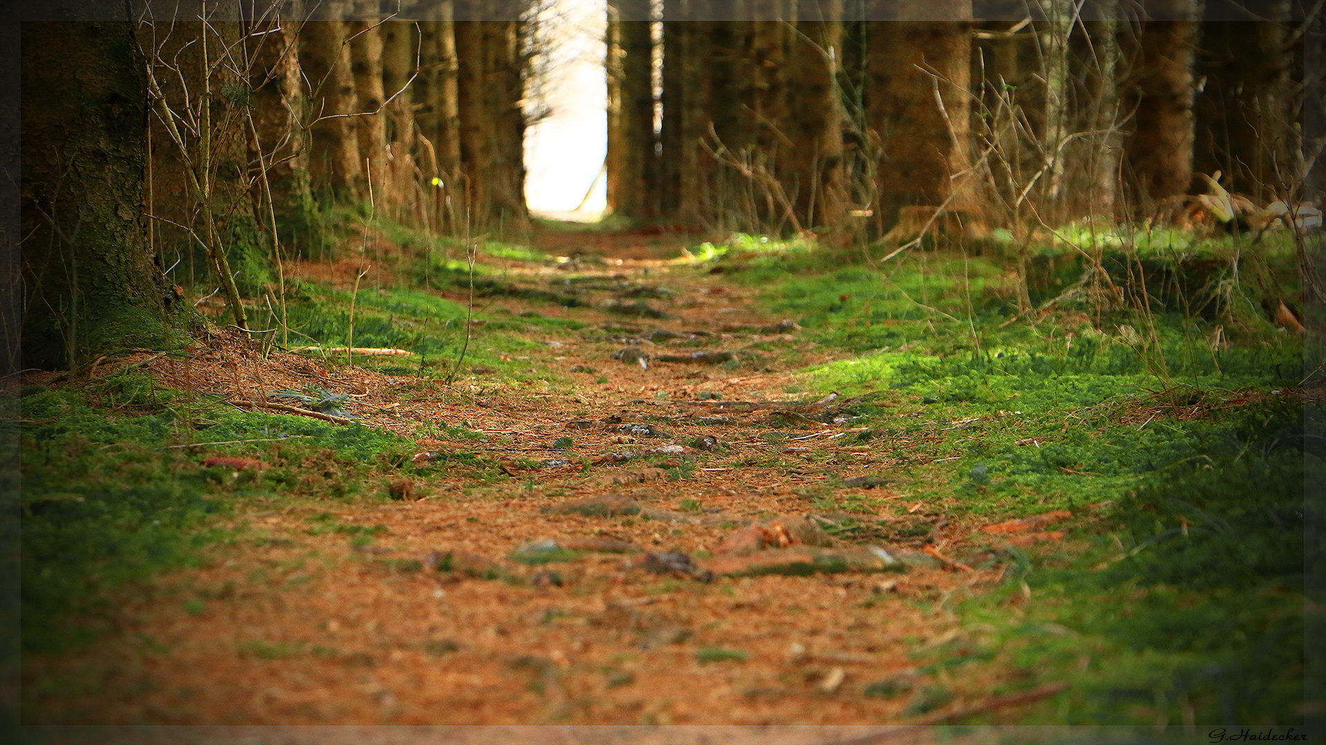 Der Weg ist das Ziel