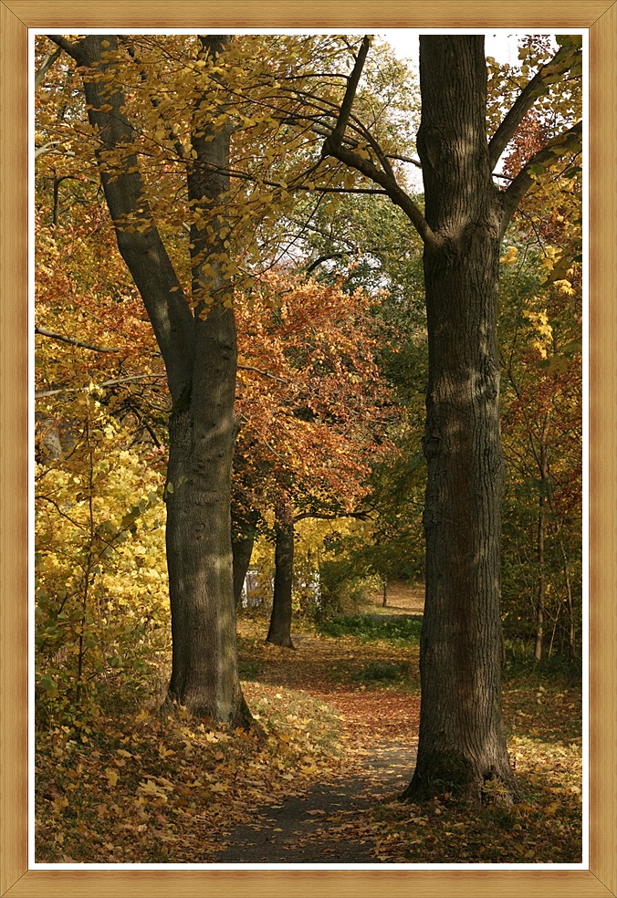 Der Weg ist das Ziel