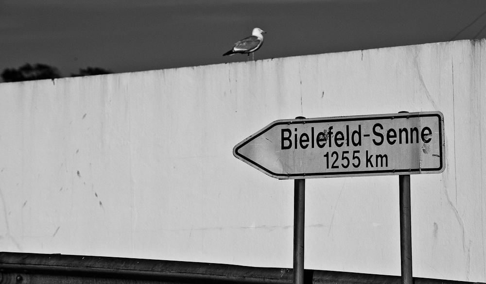 der Weg ist das Ziel Foto & Bild quatsch, fun und rätselecke, witzige schilder, bretagne