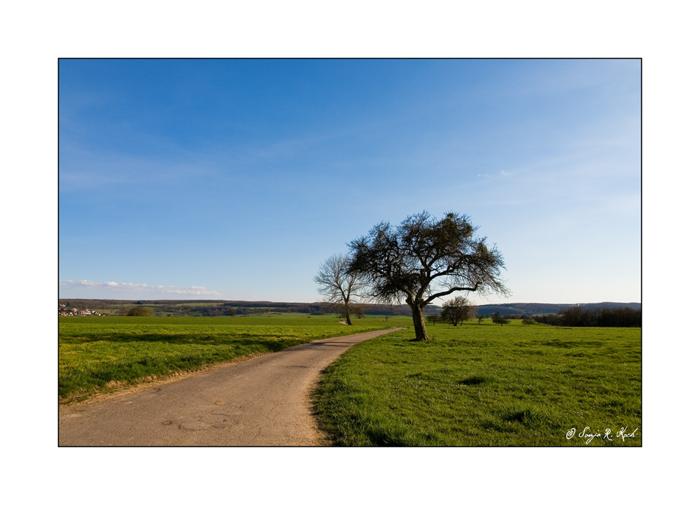 Der Weg ist das Ziel