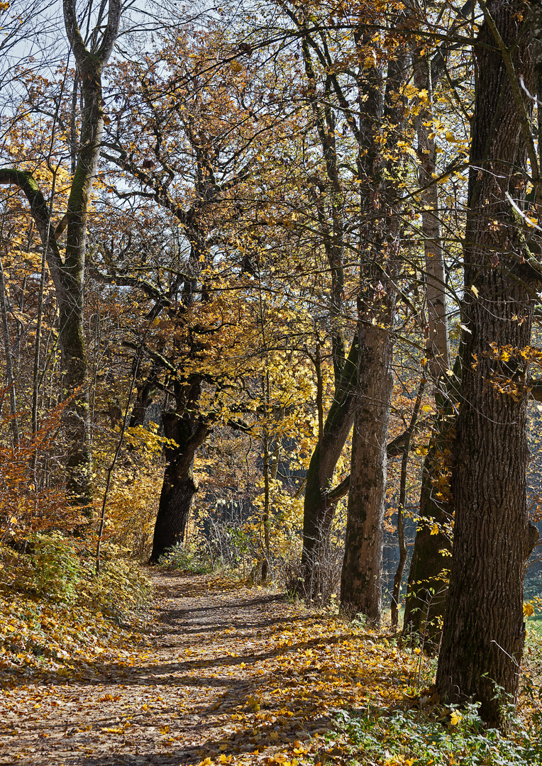 Der Weg ist das Ziel