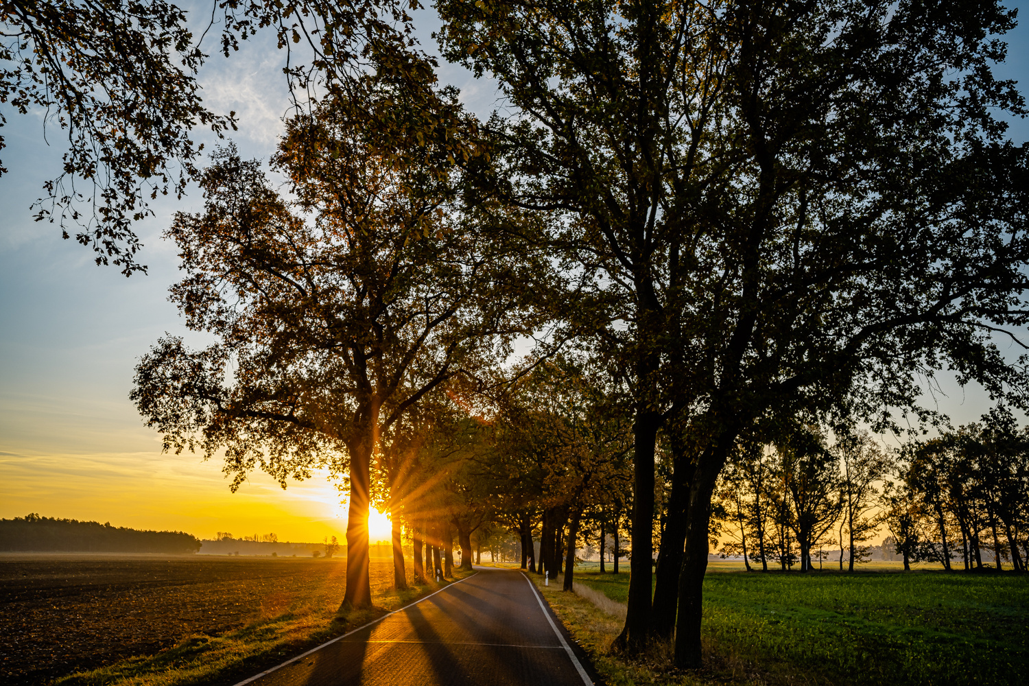 Der Weg ist das Ziel