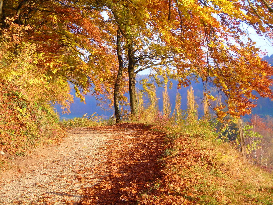 Der Weg ist das Ziel