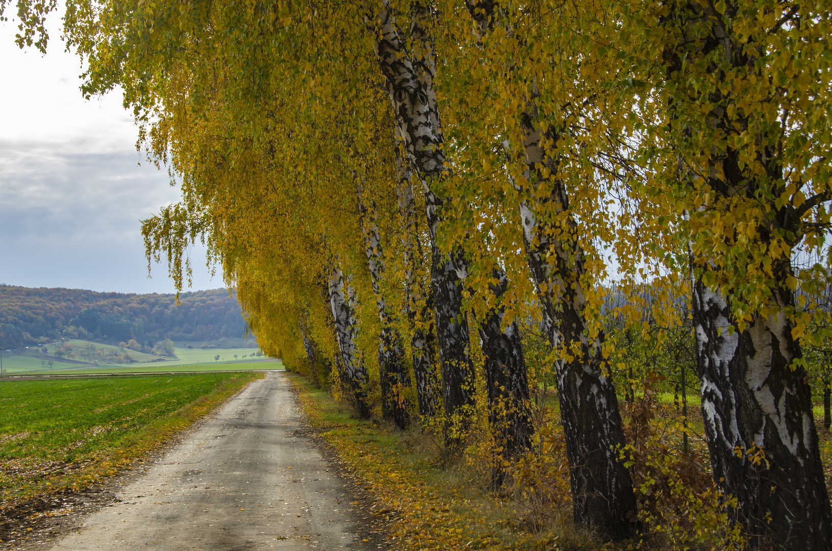 Der Weg ist das Ziel