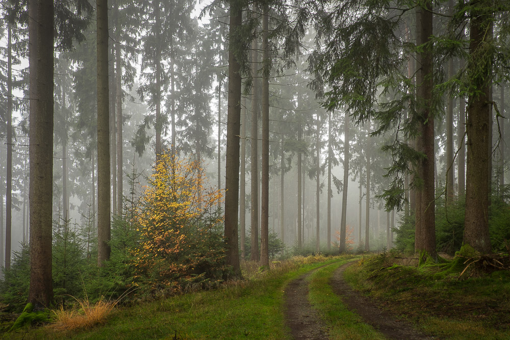 Der Weg ist das Ziel...