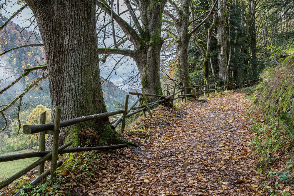 Der Weg ist das Ziel.