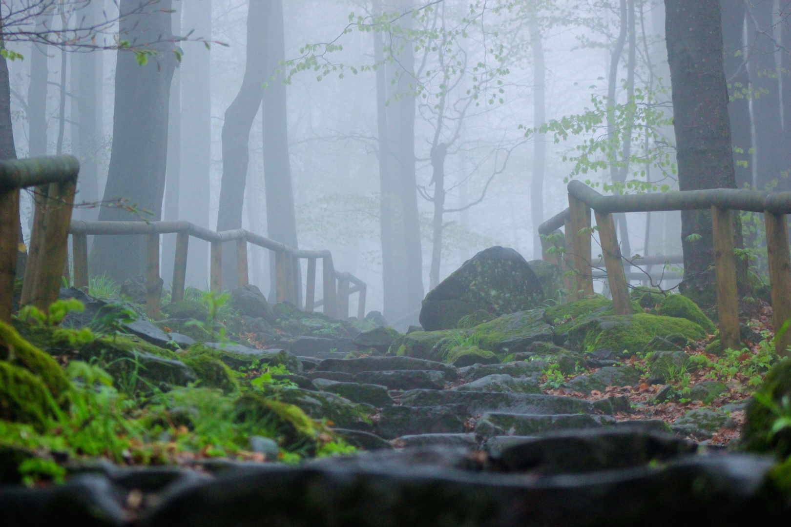 der Weg ist das Ziel...