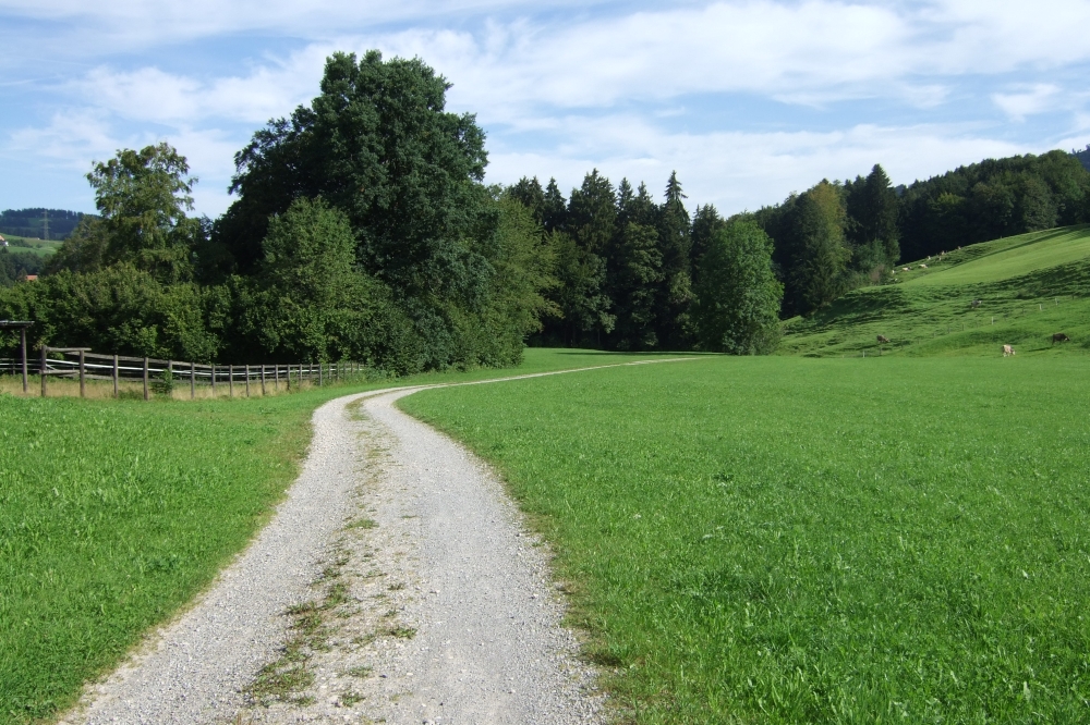 Der Weg ist das Ziel...