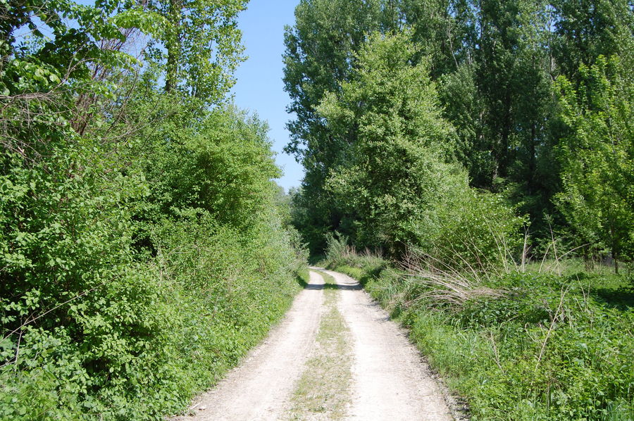 Der Weg ist das Ziel