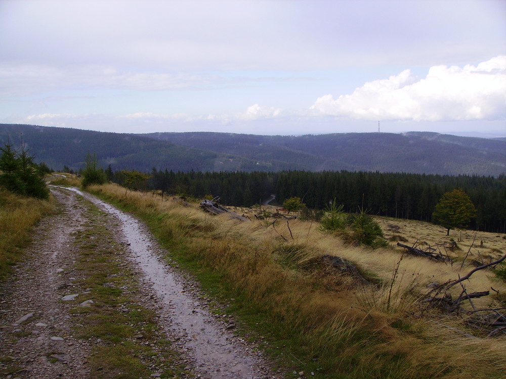 Der Weg ist das Ziel