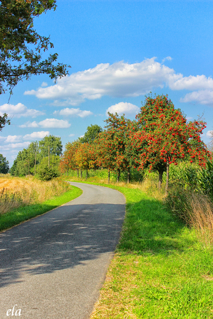 Der Weg ist das Ziel....