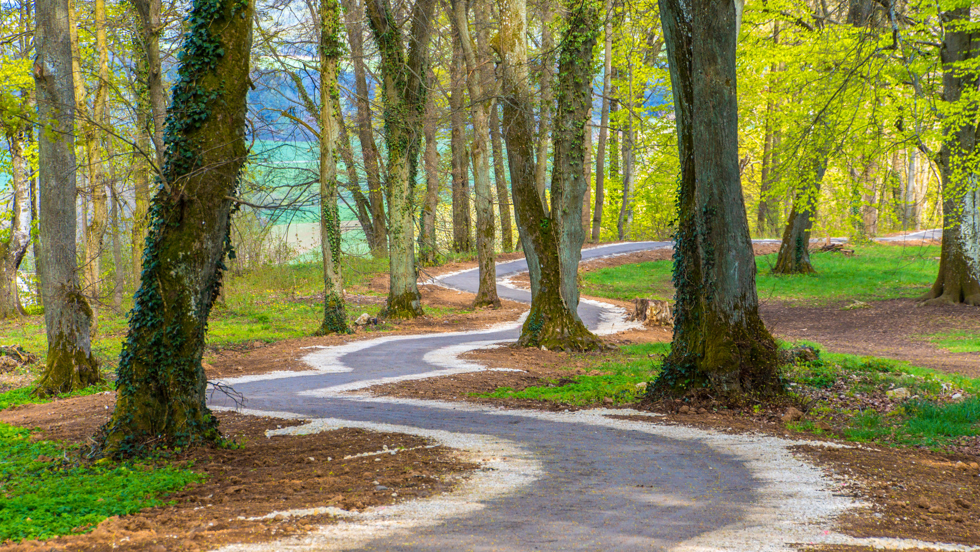 Der Weg ist das Ziel Foto & Bild rund um parsberg, weg, natur Bilder