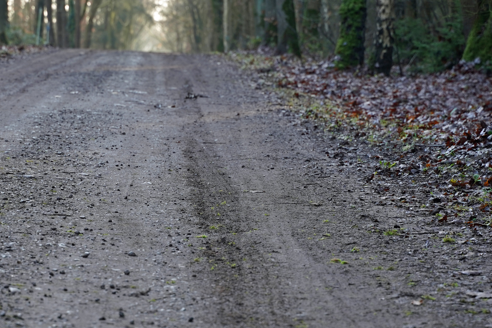 der Weg ist das Ziel