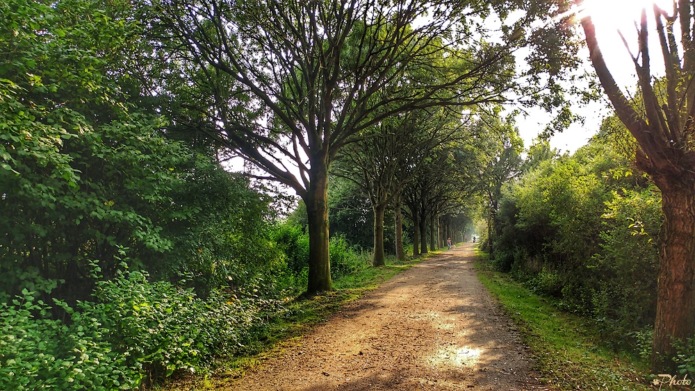 Der Weg ist das Ziel...