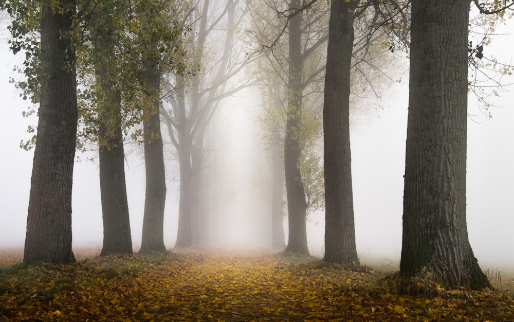 Der Weg ist das Ziel...