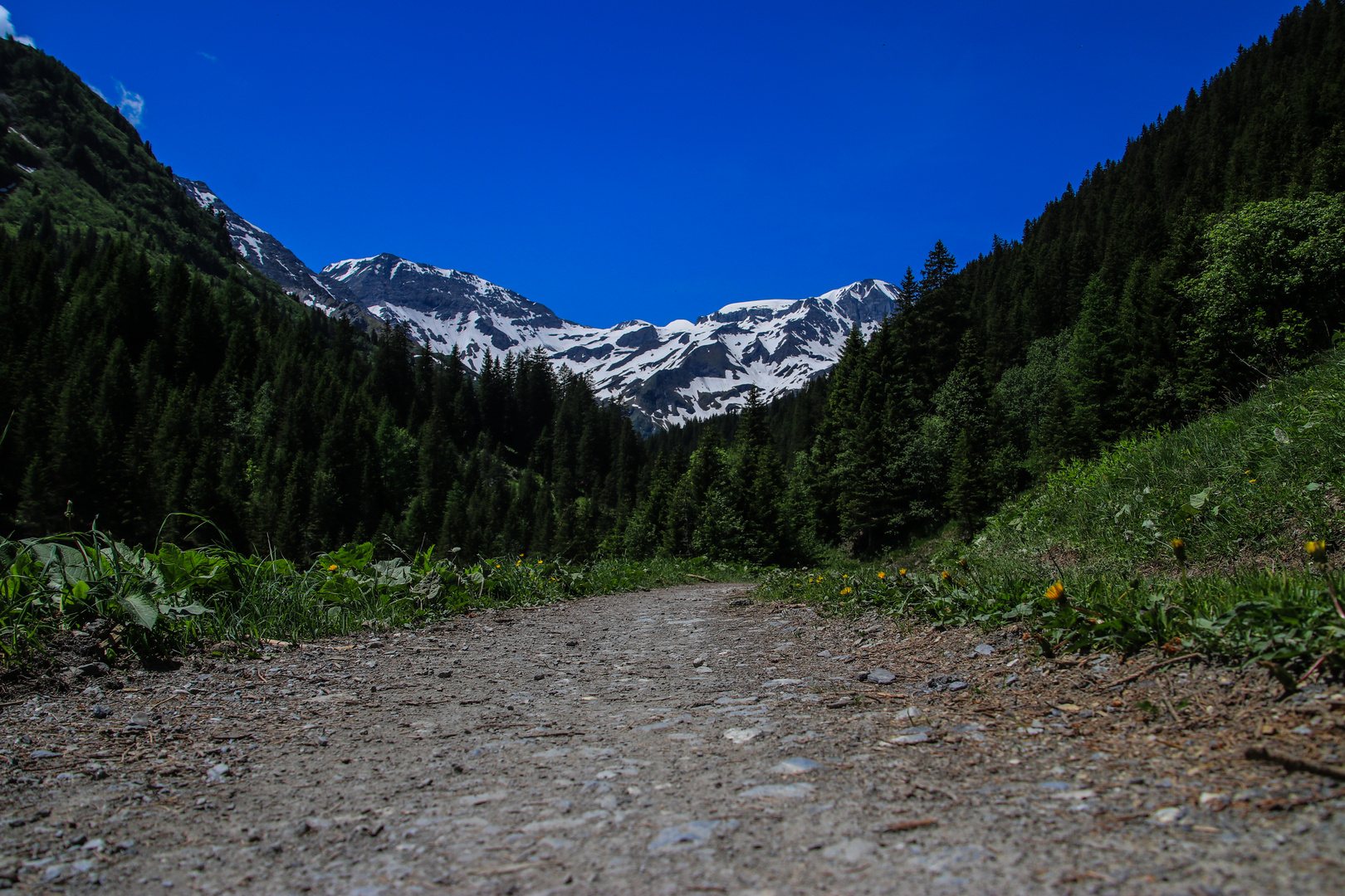 Der Weg ist das Ziel