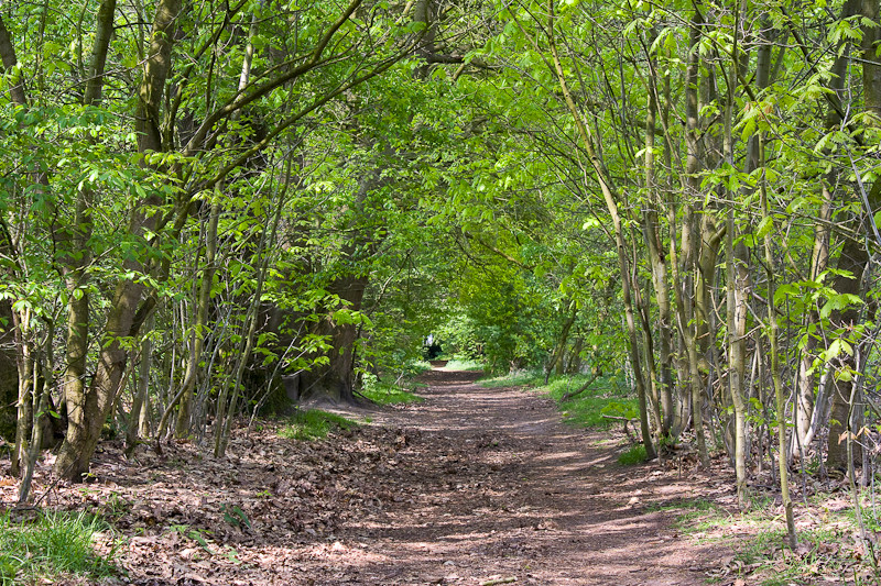 Der Weg ist das Ziel