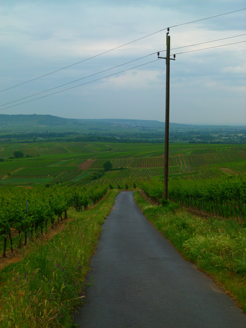 Der Weg ist das Ziel