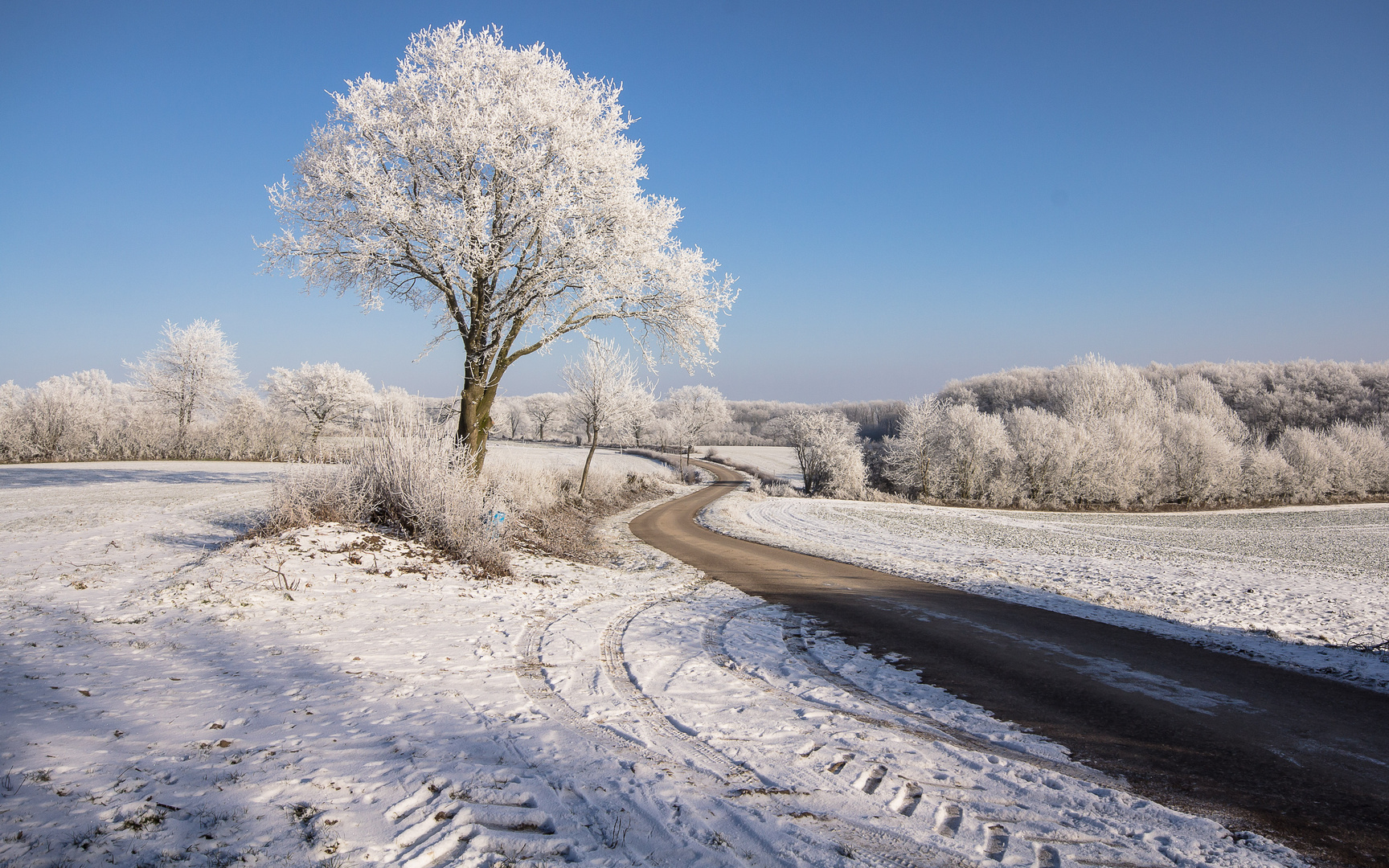 der Weg ist das Ziel