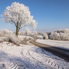 der Weg ist das Ziel