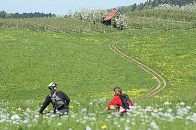 Der Weg ist das Ziel