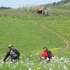 Der Weg ist das Ziel